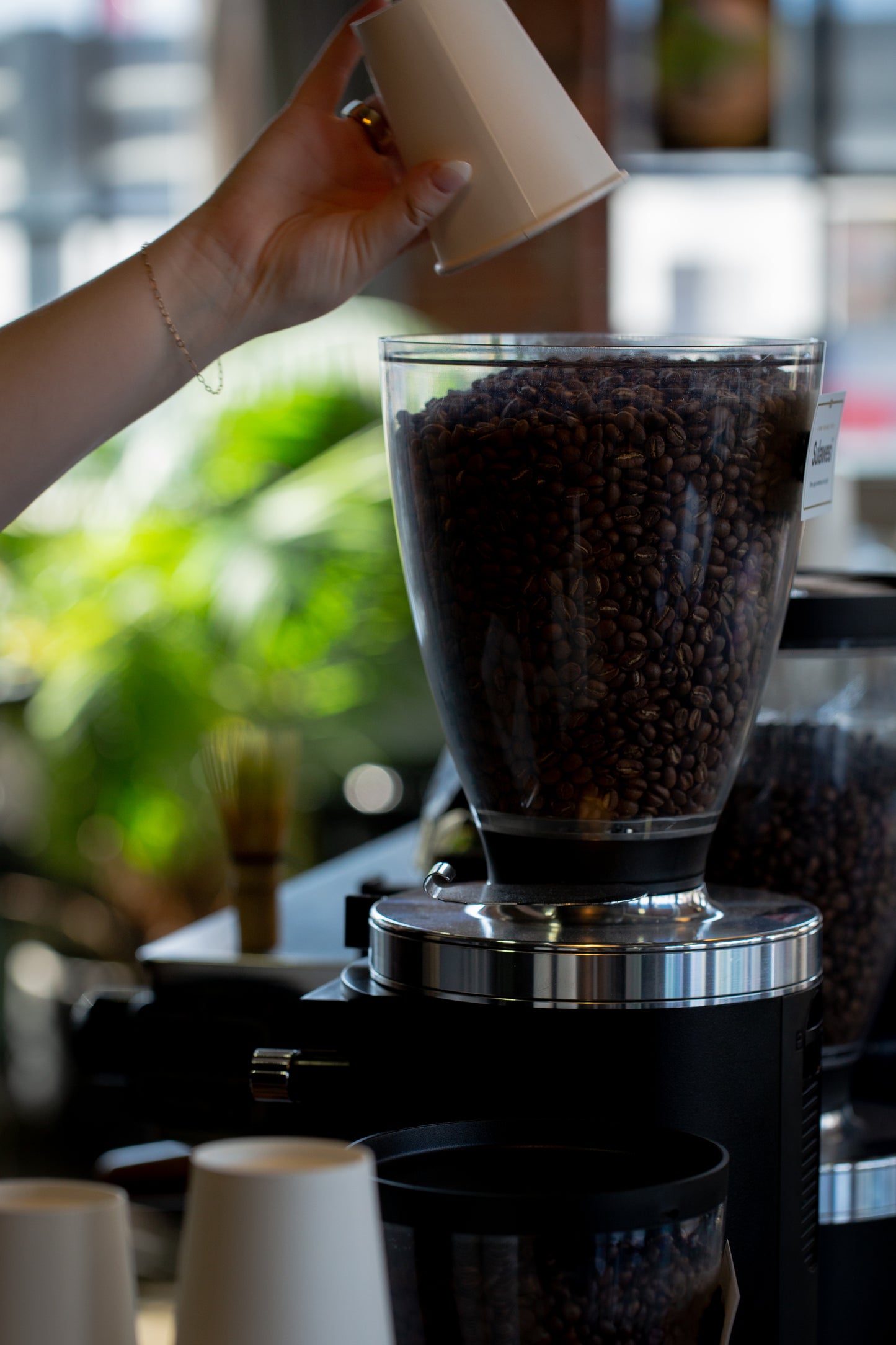 Sulawesi - Single Origin Espresso Blend
