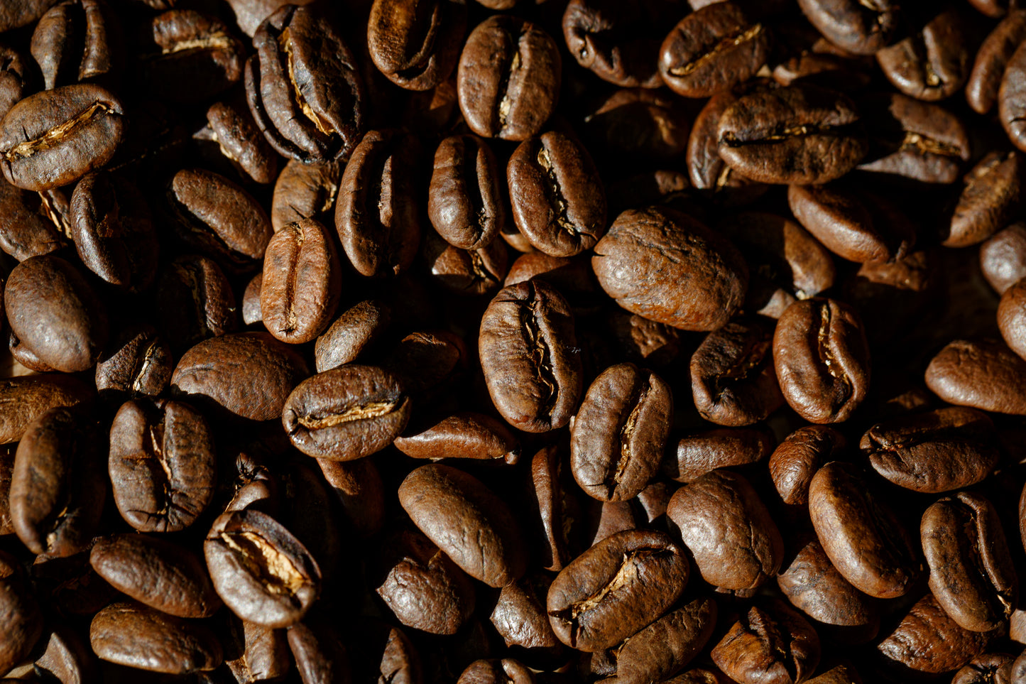 The Flyover - Fall Blend