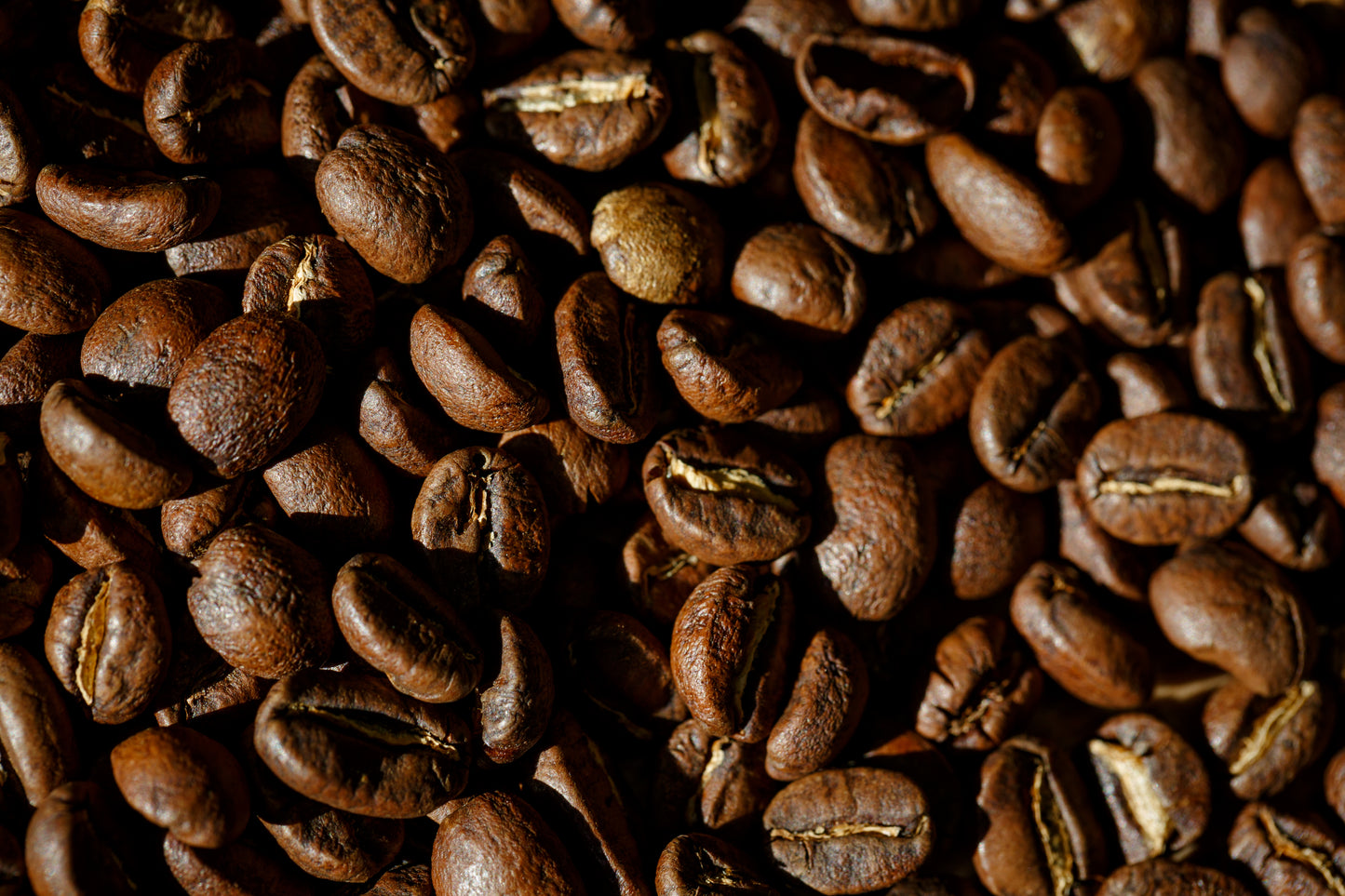 The Prologue - Guatemalan Single Origin Coffee