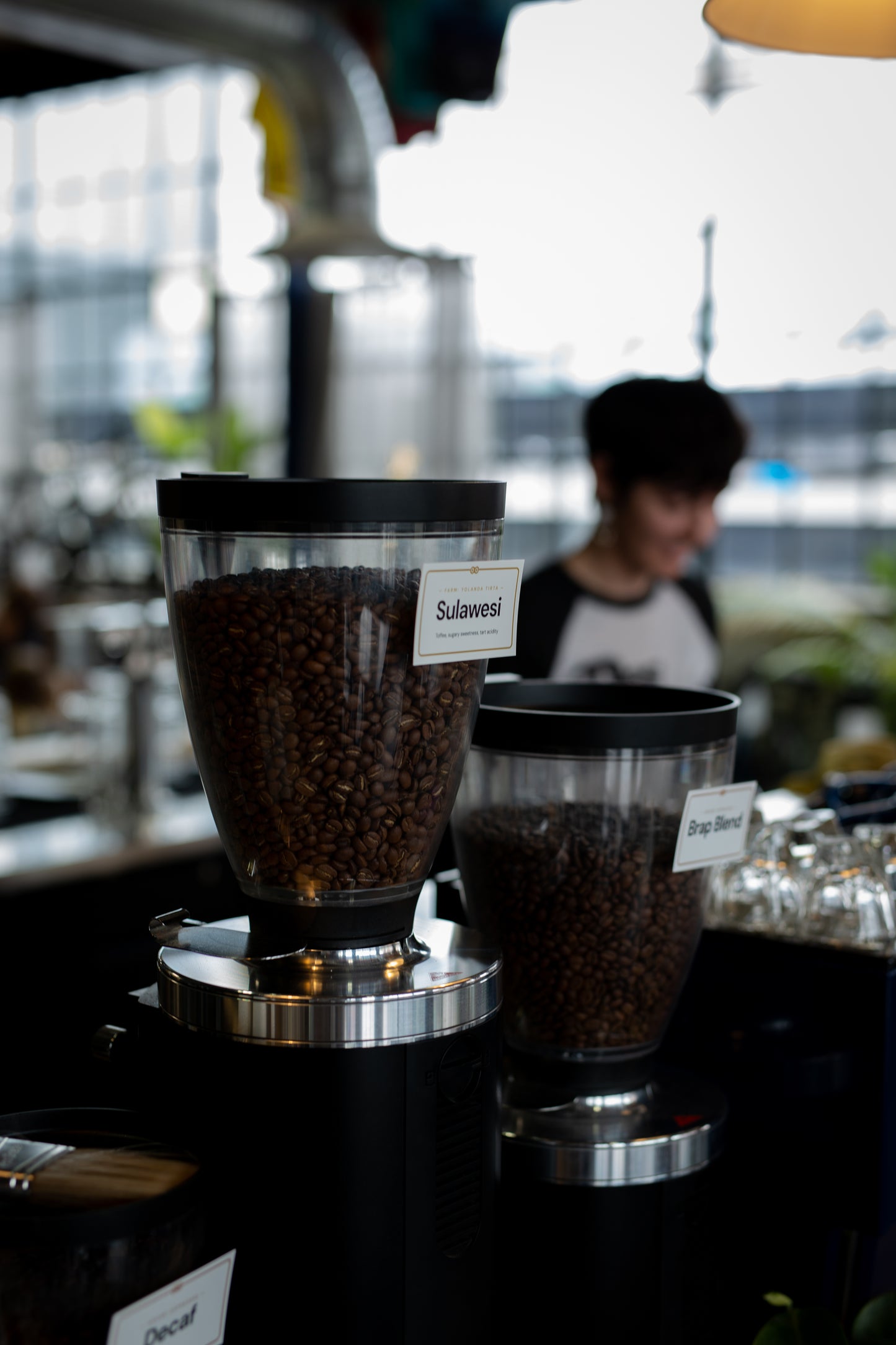 Sulawesi - Single Origin Espresso Blend