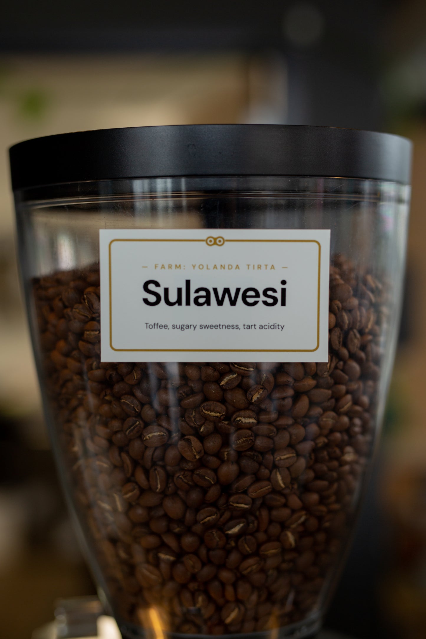 Sulawesi - Single Origin Espresso Blend
